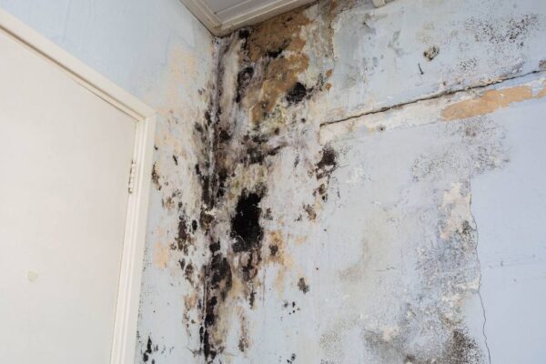 water damage on ceiling and wall